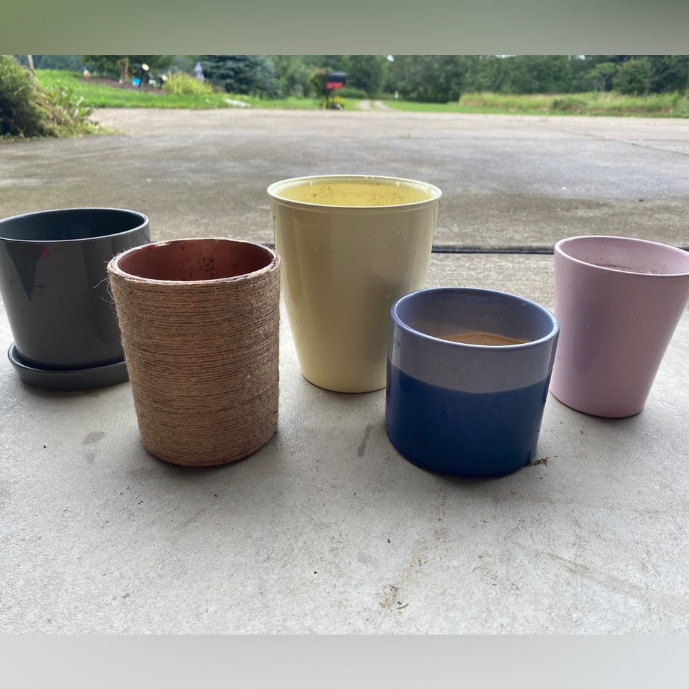 Lot of 5 Planter Pots 🌿